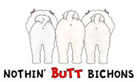 Bichon Butt