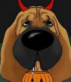 Bloodhound Devil