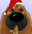 Bloodhound Christmas Santa
