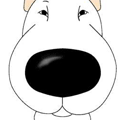 Bull Terrier Nose
