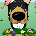 Collie Easter