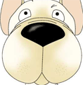 French Bulldog Nose