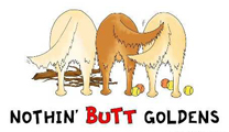 Golden Butt Stick