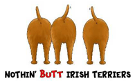 Irish Terrier Butt