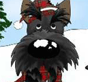 Scottish Terrier Christmas Winter