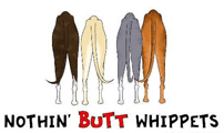 Whippet Butt