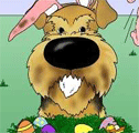 Airedale Easter