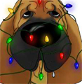 Bloodhound Christmas Lights