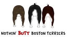 Boston Terrier Butt