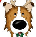 Rough Collie Christmas Antlers