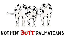 Dalmatian Butt