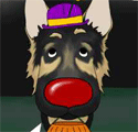 German Shepherd Clown