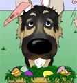 German Shepherd Easter