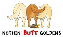 Golden Butt Duck