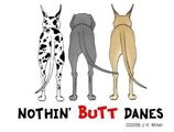 Great Dane Butt