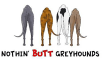 Greyhound Butt