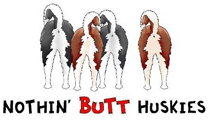 Husky Butt