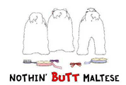 Maltese Butt