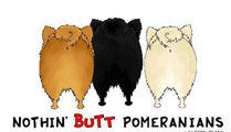 Pom Butt