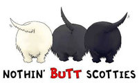 Scottish Terrier Butt