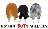 Sheltie Butt